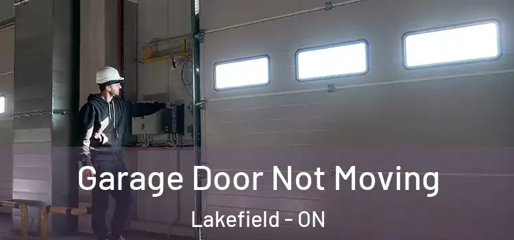  Garage Door Not Moving Lakefield - ON