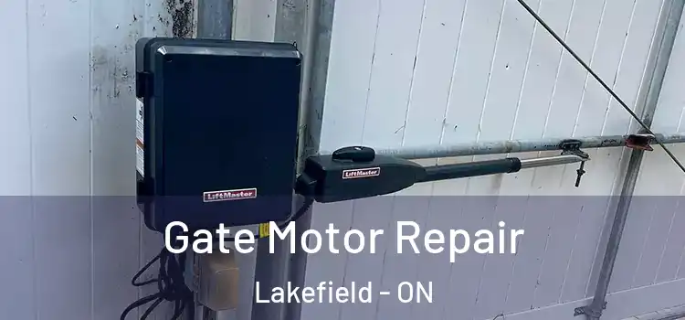 Gate Motor Repair Lakefield - ON
