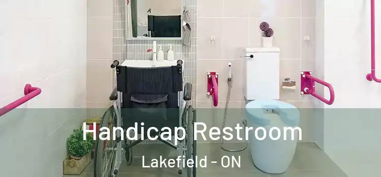 Handicap Restroom Lakefield - ON