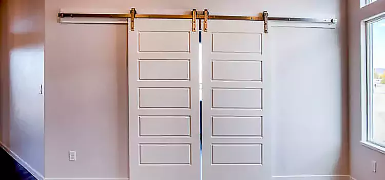 Glass Barn Door with Installation Hardware Kit Lakefield